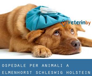 Ospedale per animali a Elmenhorst (Schleswig-Holstein)