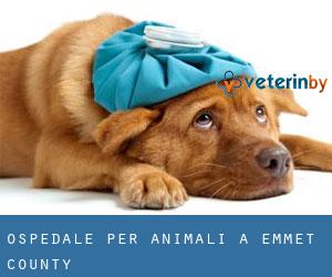 Ospedale per animali a Emmet County