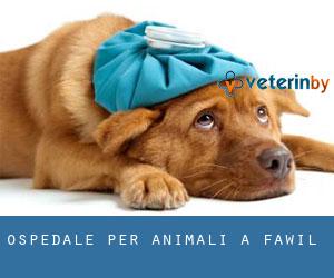 Ospedale per animali a Fawil