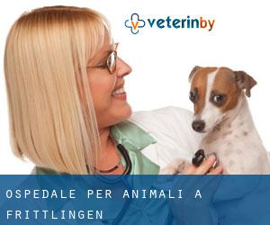Ospedale per animali a Frittlingen