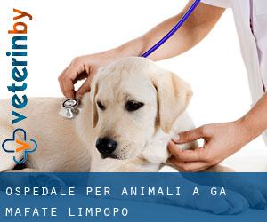 Ospedale per animali a Ga-Mafate (Limpopo)