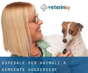 Ospedale per animali a Gemeente Goedereede
