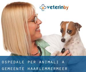 Ospedale per animali a Gemeente Haarlemmermeer
