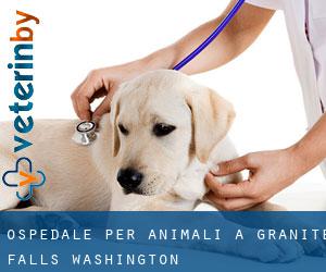 Ospedale per animali a Granite Falls (Washington)