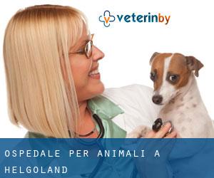 Ospedale per animali a Helgoland