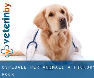 Ospedale per animali a Hickory Rock