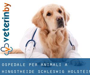 Ospedale per animali a Hingstheide (Schleswig-Holstein)