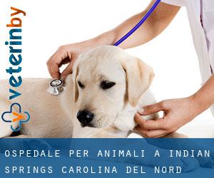 Ospedale per animali a Indian Springs (Carolina del Nord)
