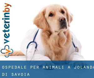 Ospedale per animali a Jolanda di Savoia