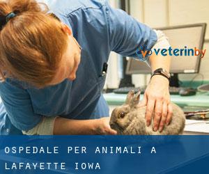 Ospedale per animali a Lafayette (Iowa)