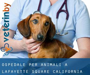 Ospedale per animali a Lafayette Square (California)