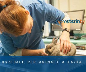 Ospedale per animali a Layka