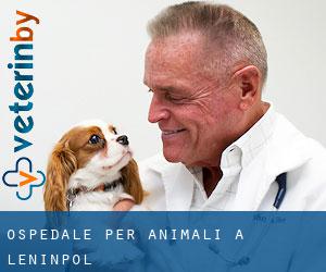Ospedale per animali a Leninpol'