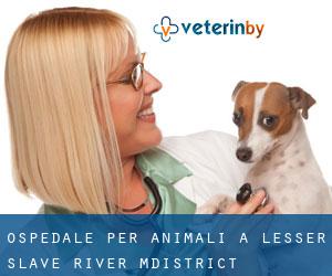 Ospedale per animali a Lesser Slave River M.District Ospedale per animali a Lesser Slave River M.District