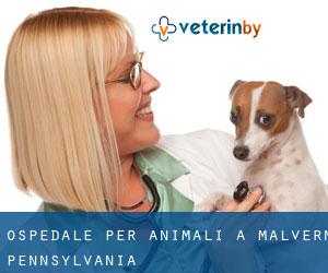 Ospedale per animali a Malvern (Pennsylvania)
