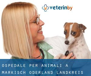Ospedale per animali a Märkisch-Oderland Landkreis
