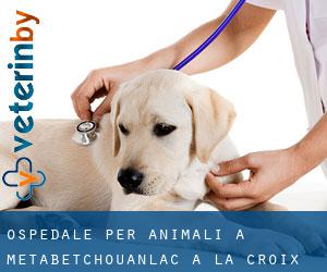Ospedale per animali a Metabetchouan–Lac-a-la-Croix