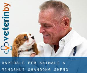 Ospedale per animali a Mingshui (Shandong Sheng) Ospedale per animali a Mingshui (Shandong Sheng)