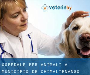 Ospedale per animali a Municipio de Chimaltenango