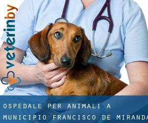 Ospedale per animali a Municipio Francisco de Miranda (Guárico)