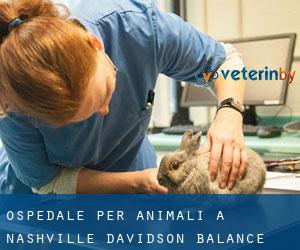 Ospedale per animali a Nashville-Davidson (balance)