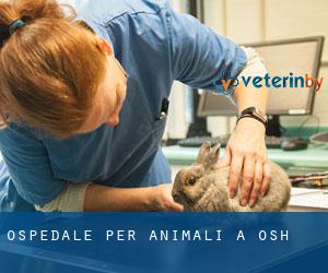 Ospedale per animali a Osh