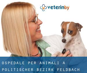 Ospedale per animali a Politischer Bezirk Feldbach