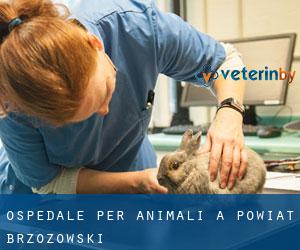 Ospedale per animali a Powiat brzozowski