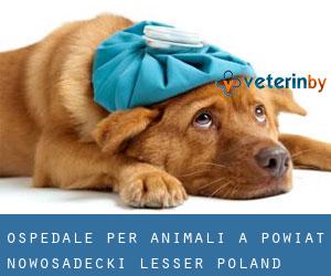 Ospedale per animali a Powiat nowosadecki (Lesser Poland Voivodeship) (Voivodato della Piccola Polonia)