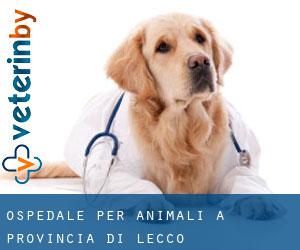 Ospedale per animali a Provincia di Lecco Ospedale per animali a Provincia di Lecco