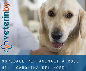 Ospedale per animali a Rose Hill (Carolina del Nord)