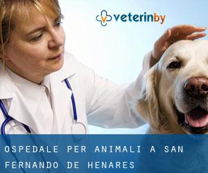 Ospedale per animali a San Fernando de Henares