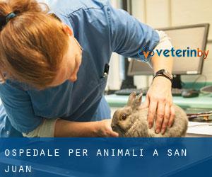 Ospedale per animali a San Juan