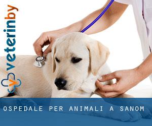 Ospedale per animali a Sanom
