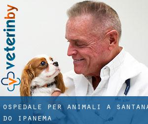 Ospedale per animali a Santana do Ipanema