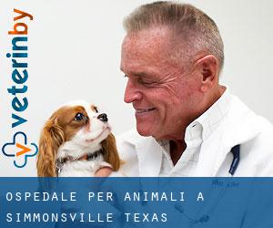 Ospedale per animali a Simmonsville (Texas)