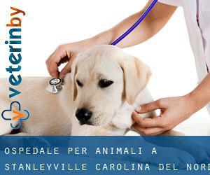 Ospedale per animali a Stanleyville (Carolina del Nord)