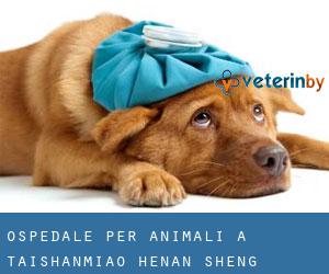 Ospedale per animali a Taishanmiao (Henan Sheng)