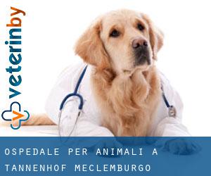 Ospedale per animali a Tannenhof (Meclemburgo-Pomerania Anteriore)