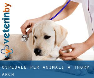 Ospedale per animali a Thorp Arch