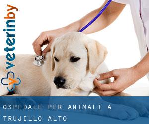 Ospedale per animali a Trujillo Alto