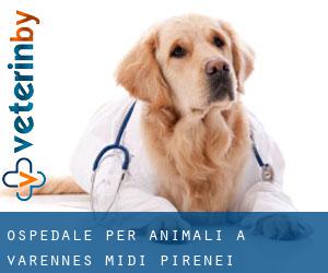 Ospedale per animali a Varennes (Midi-Pirenei)
