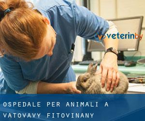 Ospedale per animali a Vatovavy Fitovinany