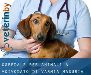 Ospedale per animali a Voivodato di Varmia-Masuria