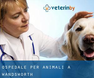 Ospedale per animali a Wandsworth