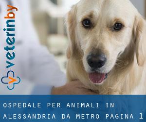 Ospedale per animali in Alessandria da metro - pagina 1