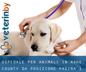 Ospedale per animali in Ashe County da posizione - pagina 1