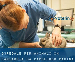 Ospedale per animali in Cantabria da capoluogo - pagina 1