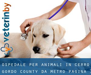 Ospedale per animali in Cerro Gordo County da metro - pagina 1