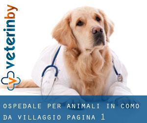 Ospedale per animali in Como da villaggio - pagina 1